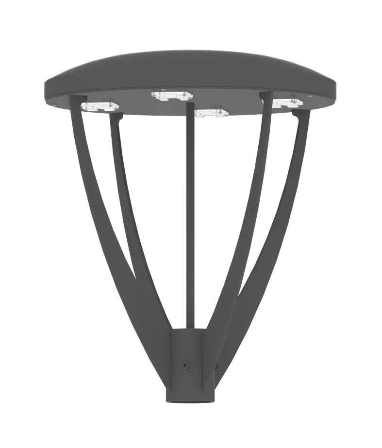 Лира